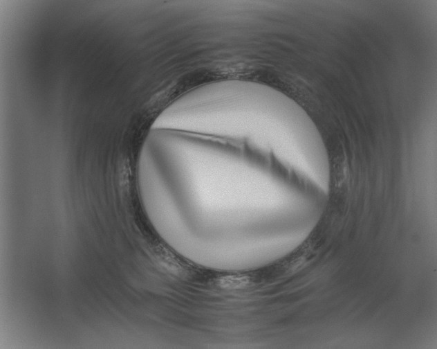 X0000062170279200512301653