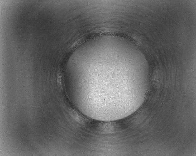 X0000062170282200512301653
