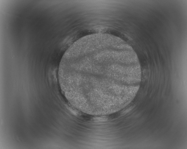 X0000062170286200512301653