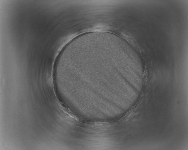 X0000062170292200512301652