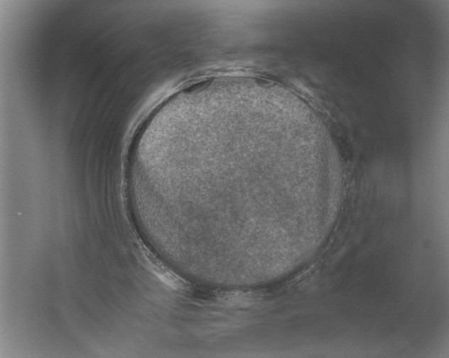 X0000062170293200512301652