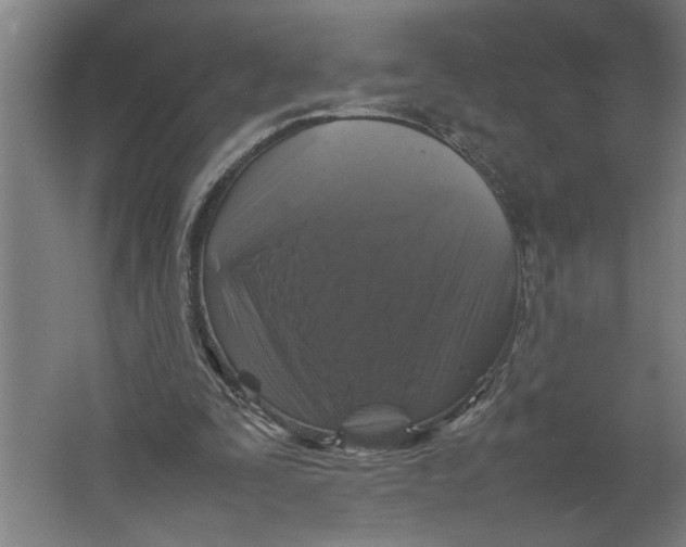 X0000062170295200512301652