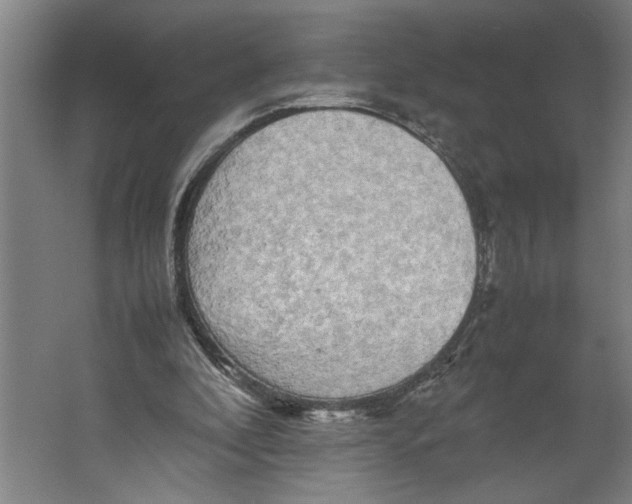 X0000062170296200512301652