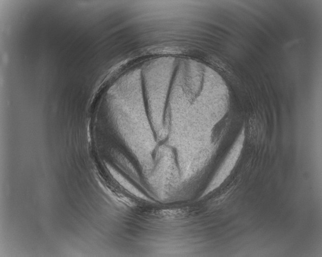X0000062170302200512301652