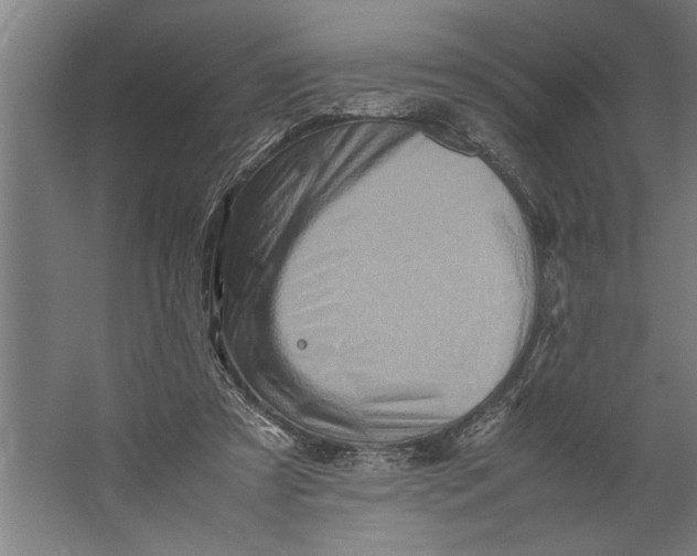 X0000062170305200512301652