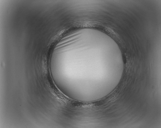 X0000062170306200512301652