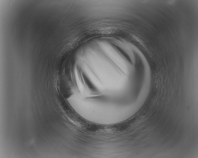X0000062170307200512301652
