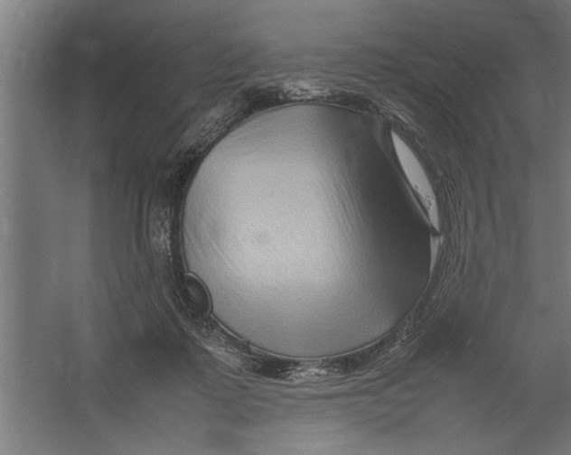 X0000062170315200512301652