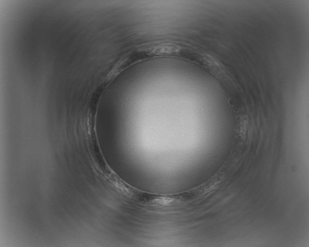X0000062170326200512301652