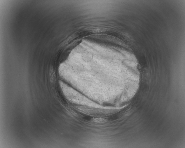 X0000062170327200512301652