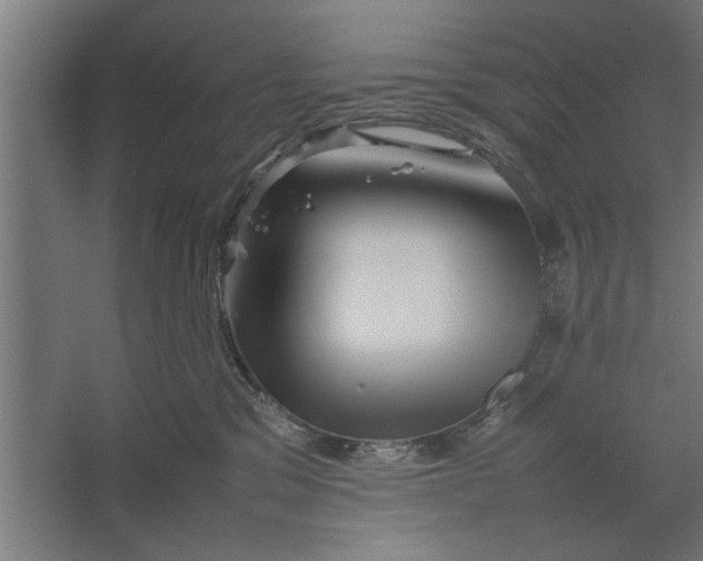 X0000062170329200512301652