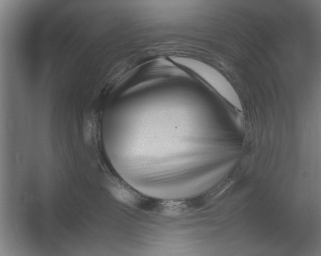 X0000062170333200512301652