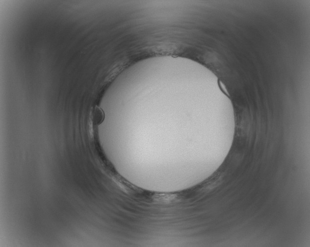 X0000062170334200512301652