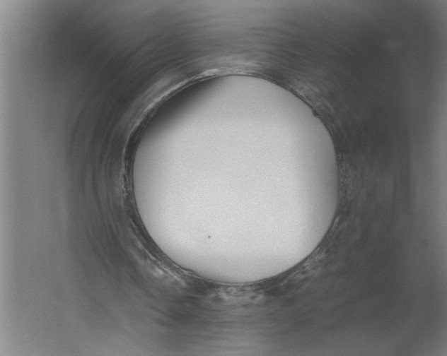 X0000062170338200512301651