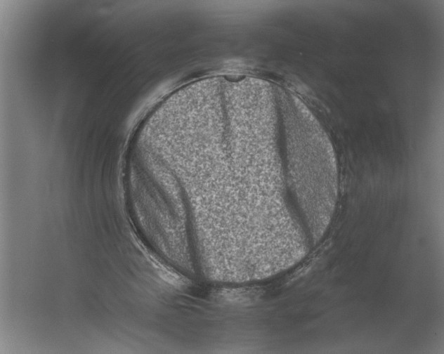 X0000062170341200512301651