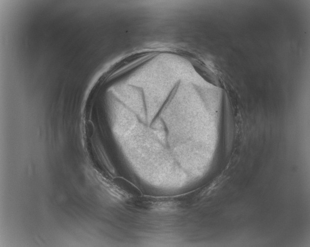 X0000062170342200512301651