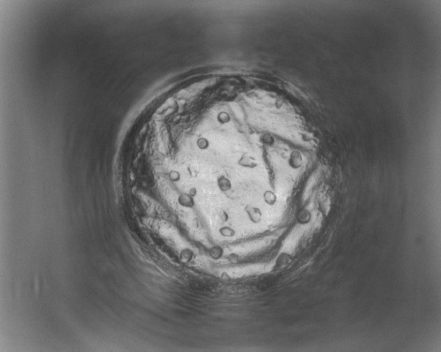 X0000062170343200512301651