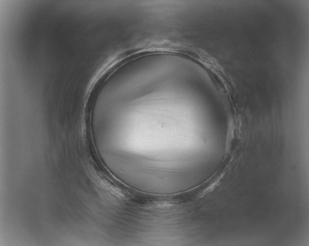 X0000062170344200512301651
