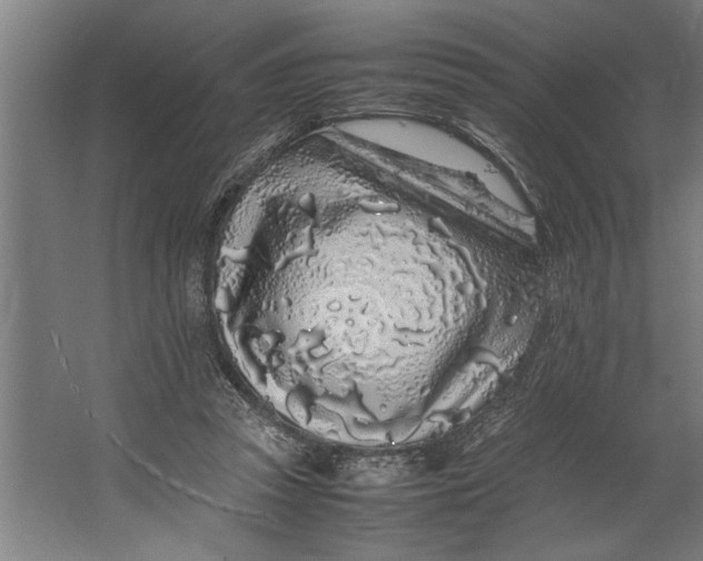 X0000062170353200512301651