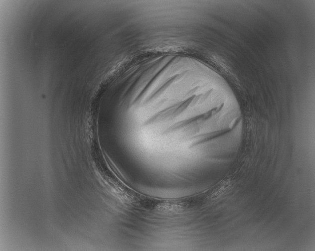 X0000062170354200512301651