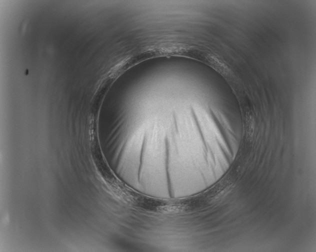 X0000062170356200512301651