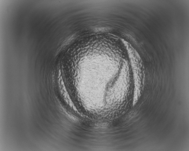 X0000062170357200512301651