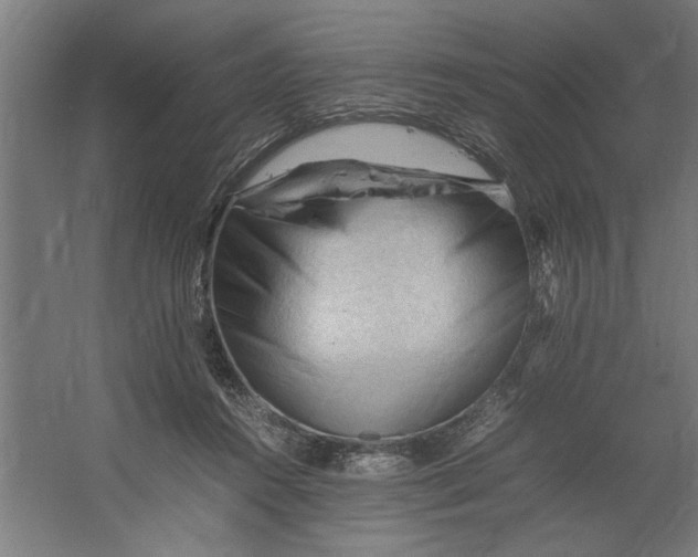 X0000062170360200512301651