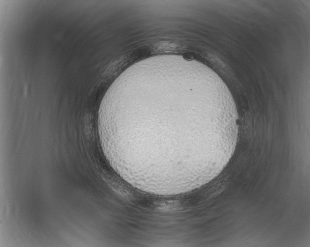 X0000062170361200512301651