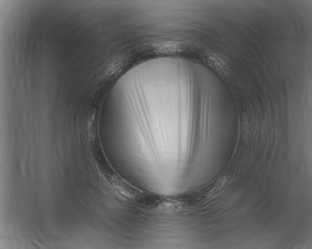 X0000062170364200512301651