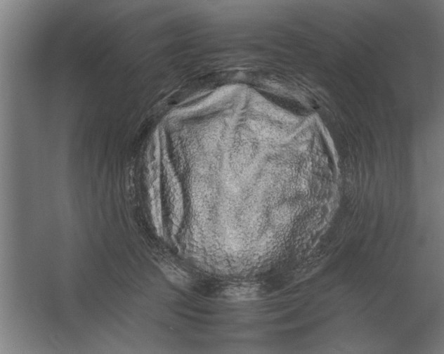 X0000062170369200512301651