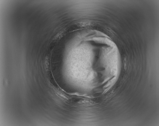 X0000062170372200512301651