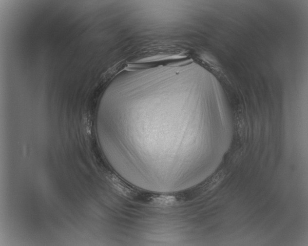 X0000062170374200512301651