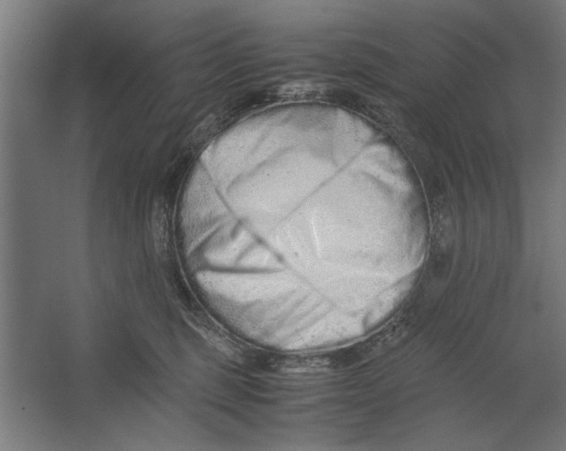 X0000062170375200512301651