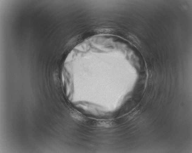 X0000062170377200512301651