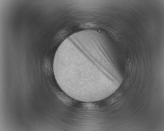 X0000062170380200512301651