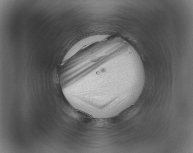X0000062170384200512301652