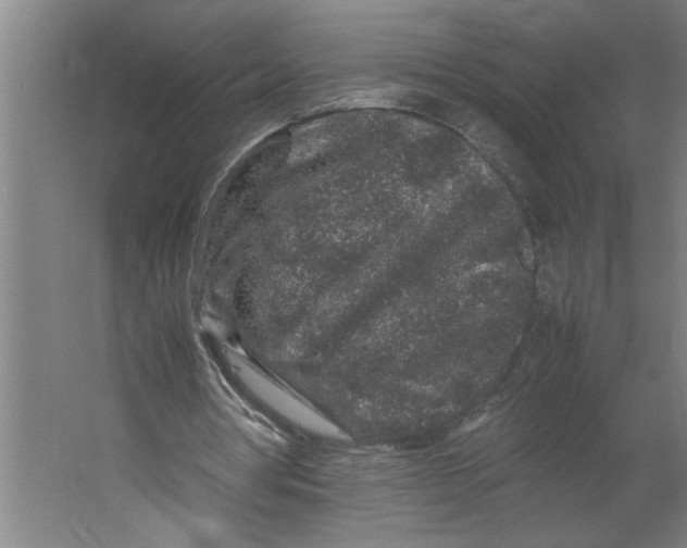 X0000062170386200512301651