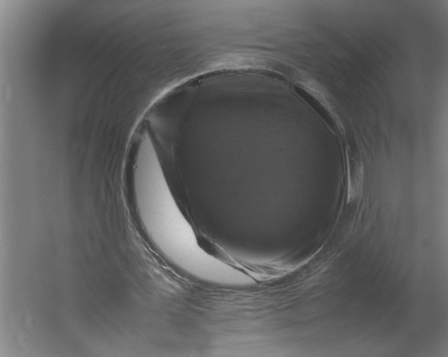 X0000062170387200512301651
