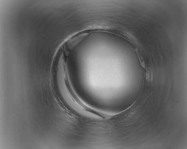 X0000062170388200512301651