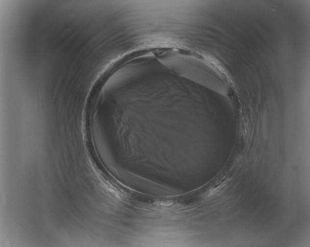 X0000062170391200512301651