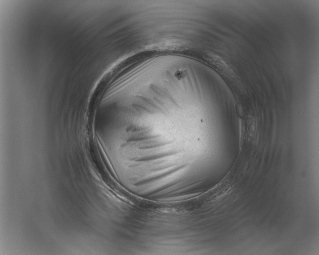 X0000062170392200512301651