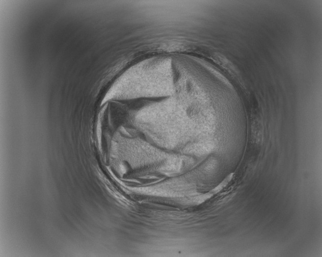 X0000062170393200512301651