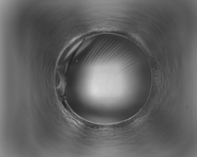 X0000062170395200512301651