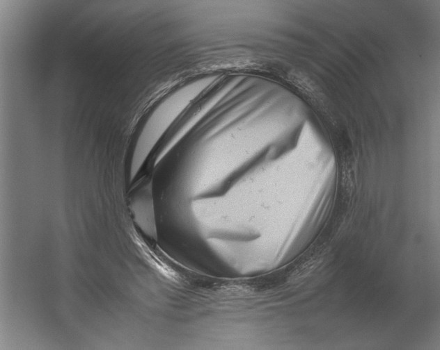 X0000062170397200512301651