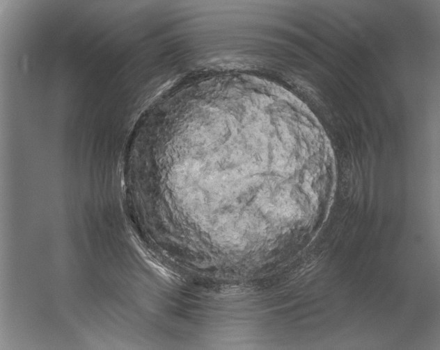 X0000062170398200512301650