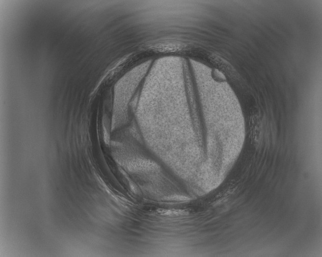 X0000062170400200512301650