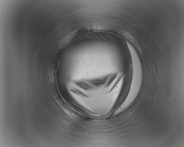 X0000062170401200512301650