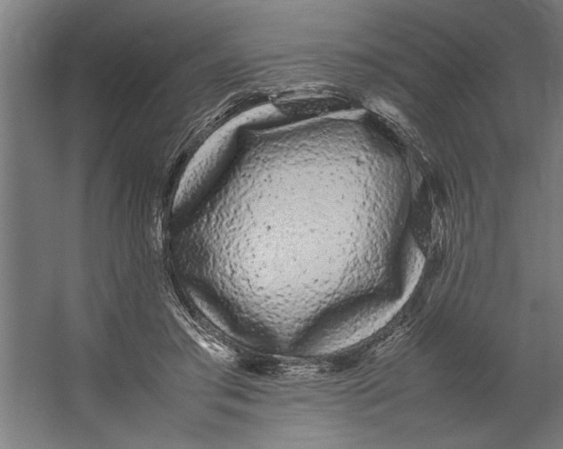 X0000062170405200512301650