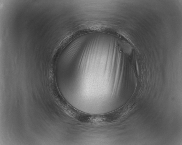 X0000062170407200512301650