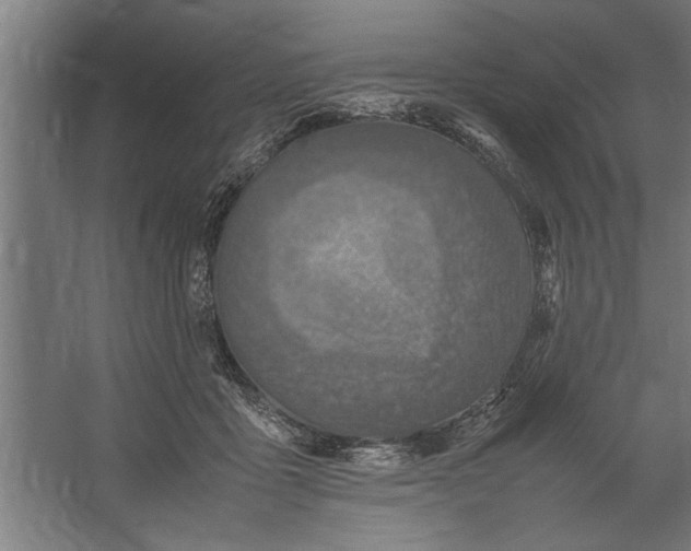 X0000062170411200512301650